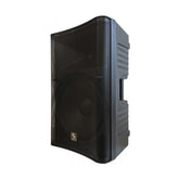 ZZip ZZPK115 Haut-parleur actif 15" 600 W Lecteur multimédia Bluetooth